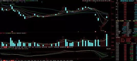 300017網(wǎng)宿主營業(yè)務蓄勢待發(fā) 計算機軟硬件及配件技術開發(fā)引領新增長